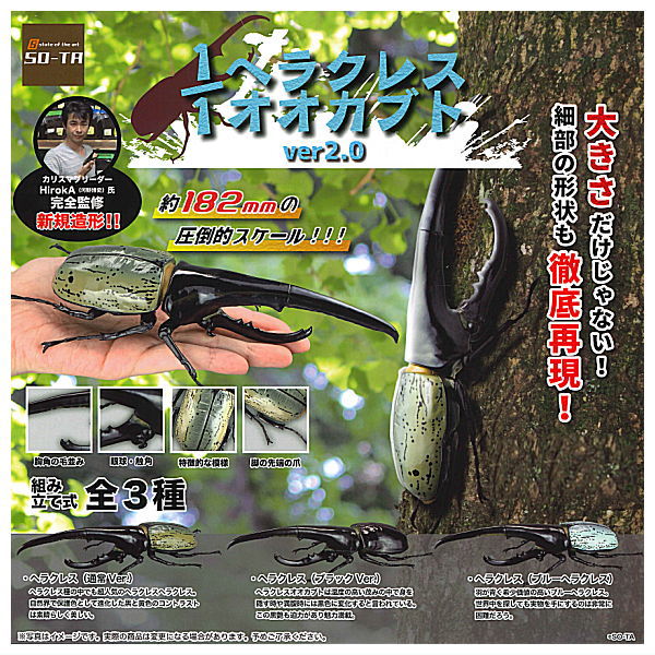 1/1 scale Hercules beetle ver2.0 [All 3 type set(Full Complete)]