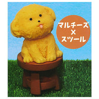 Petit Figure Collection DOG [1.Maltese x Stool]