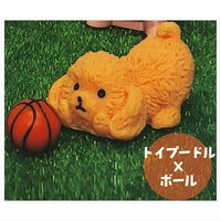 Petit Figure Collection DOG [4.Toy Poodle x Ball]