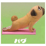 Capsule Q Museum Sato Kunio's animals Yoga time [3.Pug]