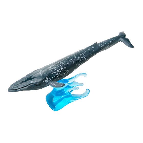 Ikimono Encyclopedia Mini Collection Whale [1.Blue whale]