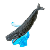 Ikimono Encyclopedia Mini Collection Whale [3.Sperm whale]