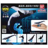 Ikimono Encyclopedia Mini Collection Whale [All 4 type set(Full Complete)]