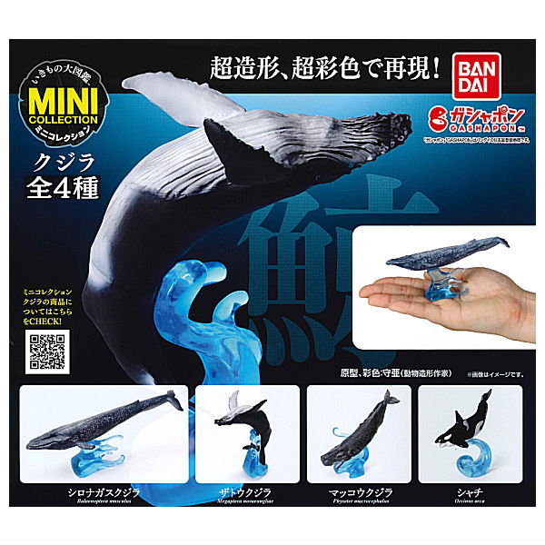 Ikimono Encyclopedia Mini Collection Whale [All 4 type set(Full Complete)]