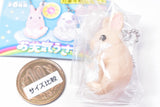 Otenki rabbit [1.Rainbow rabbit]