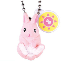 Otenki rabbit [2.Sunny rabbit]