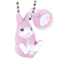 Otenki rabbit [3.Cloudy rabbit]
