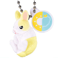 Otenki rabbit [4.Sunny after cloudy rabbit]