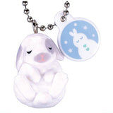 Otenki rabbit [6.Snow rabbit]