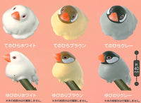 Meetissai kotai o tamotenaku natta sparrow [7.All 6 type set (Full Complete)]