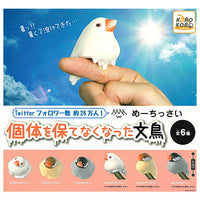 Meetissai kotai o tamotenaku natta sparrow [7.All 6 type set (Full Complete)]