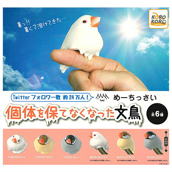 Meetissai kotai o tamotenaku natta sparrow [7.All 6 type set (Full Complete)]