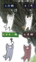 Felissimo Nekobu Hanging Cat Earrings [All 4 type set (Full Complete)]