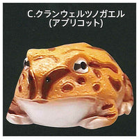 Horned frog chopstick rest [3.Apricot (Cranwell horned frog)]