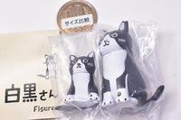 Welcome to Shirokuro-san Figure Collection [1.Ten-chan]