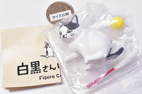 Welcome to Shirokuro-san Figure Collection [3.Tight]