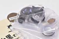 Welcome to Shirokuro-san Figure Collection [4.Bucky]