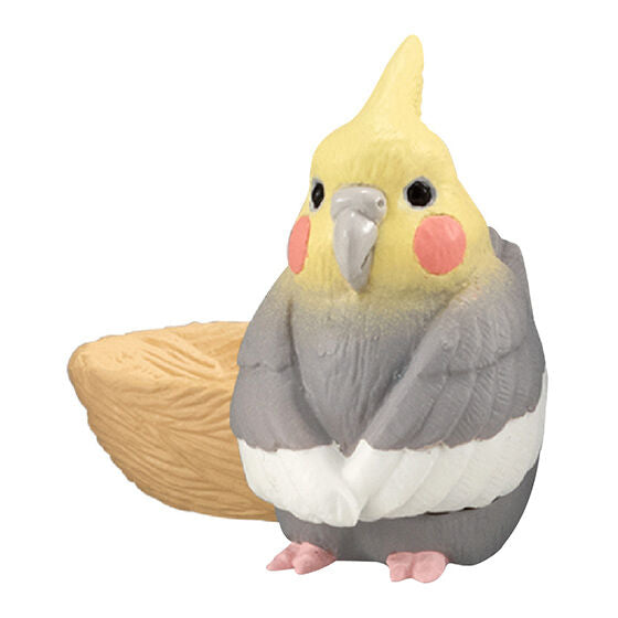 Machiboke bird Part.2 [4.Cockatiel (Gray)]