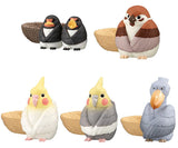 Machiboke bird Part.2 [All 5 type set(Full Complete)]