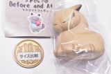 Stray Cat Before and After Mascot Figure [3.Tora (Before)]