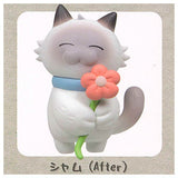 Stray Cat Before and After Mascot Figure [4.Siam (After)]