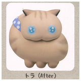 Stray Cat Before and After Mascot Figure [6.Tora (After)]