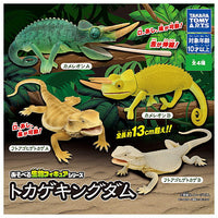 Lizard kingdom [All 4 type set(Full Complete)]