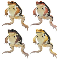 Nature Techni Colour Cane toad [All 4 type set(Full Complete)]