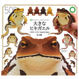 Nature Techni Colour Cane toad [All 4 type set(Full Complete)]