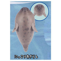 Puka Puka Seal [3.Nikkori Seal]