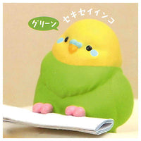 Kotoriomikuji chun! [5.Budgie parakeet (green)]