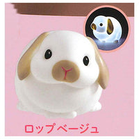 Little rabbit light [2.Lop beige]