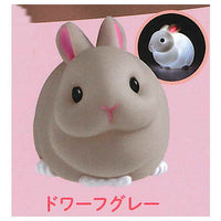 Little rabbit light [4.Dwarf gray]