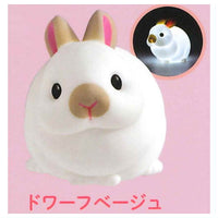 Little rabbit light [5.Dwarf beige]