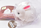 Little rabbit light [6.Dwarf white]