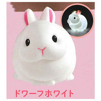 Little rabbit light [6.Dwarf white]