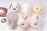 Little rabbit light [All 6 type set(Full Complete)]