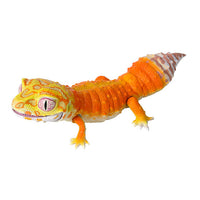 Ikimono Encyclopedia Les petit BEST Leopard and Crested [1.Leopard gecko tangerine tremper]