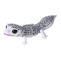 Ikimono Encyclopedia Les petit BEST Leopard and Crested [2.Leopard gecko galaxy]