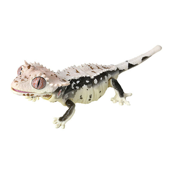 Ikimono Encyclopedia Les petit BEST Leopard and Crested [4.Crested gecko lilly white]