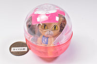 Nekokabuttemasu tokusanhin takuhaibin neko [3.Buchi cat box with eyes]