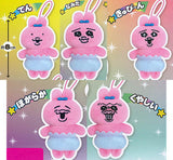 Opanchu usagi Capkko Friends [All 5 type set (Full Complete)]