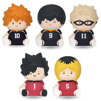 Chubby Chubby Haikyuu!! Sofubi Figure [All 5 type set(Full Complete)]