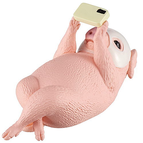 Animal facepack [1.Lying pig + Smartphone]