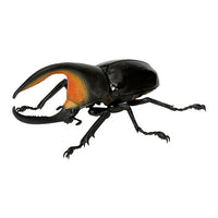 Beetle Gashapon 05 [1.Satan Beetle]