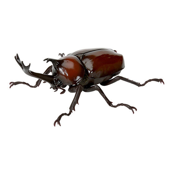 Beetle Gashapon 05 [5.Yamato beetle (reddish brown)]