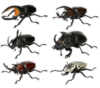 Beetle Gashapon 05 [All 6 type set(Full Complete)]