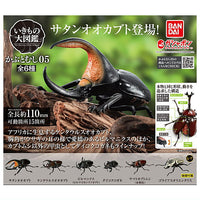 Beetle Gashapon 05 [All 6 type set(Full Complete)]