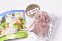 Cable kajikaji wanko [2.Toy poodle]