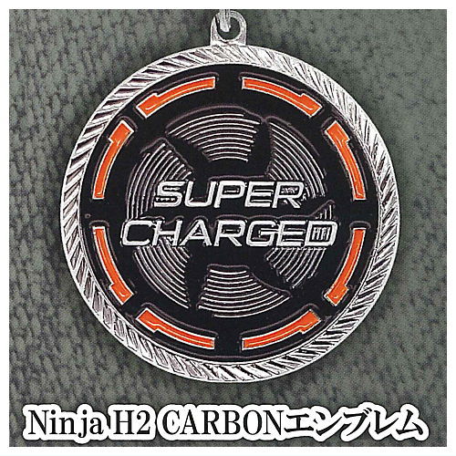 Kawasaki Motorcycle Emblem Metal Key Chain Collection Vol.2